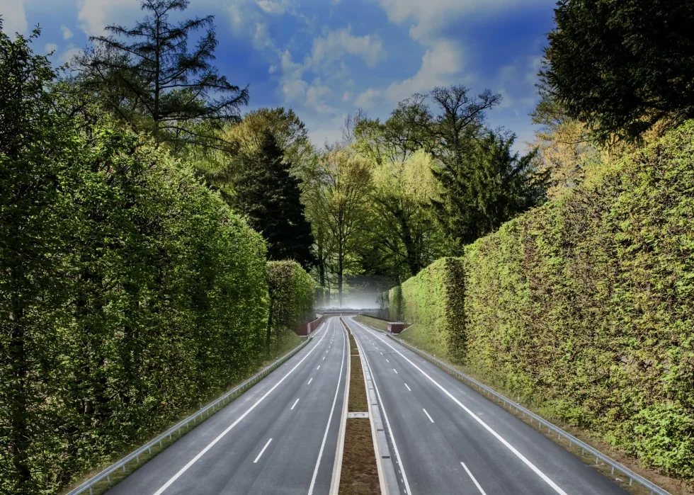 緑の壁に囲われた道路